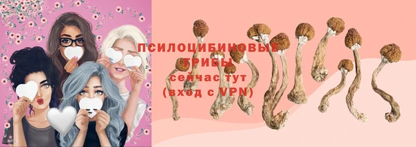прущая мука Лиски