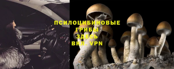 метадон Лабытнанги