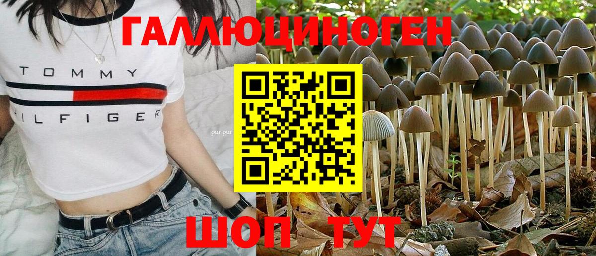 Галлюциногенные грибы ЛСД  Вход с VPN  Галлюциногенные грибы Psilocybe  Новый Уренгой 