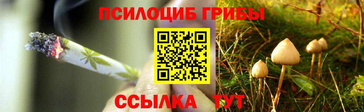 Псилоцибиновые грибы Magic Shrooms Новый Уренгой