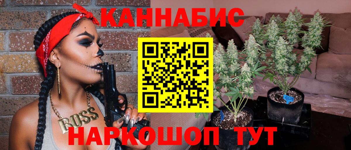 Бошки Шишки Amnesia Новый Уренгой